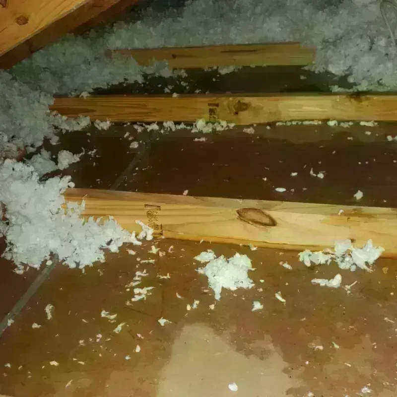 Attic Water Damage in Englewood, TN